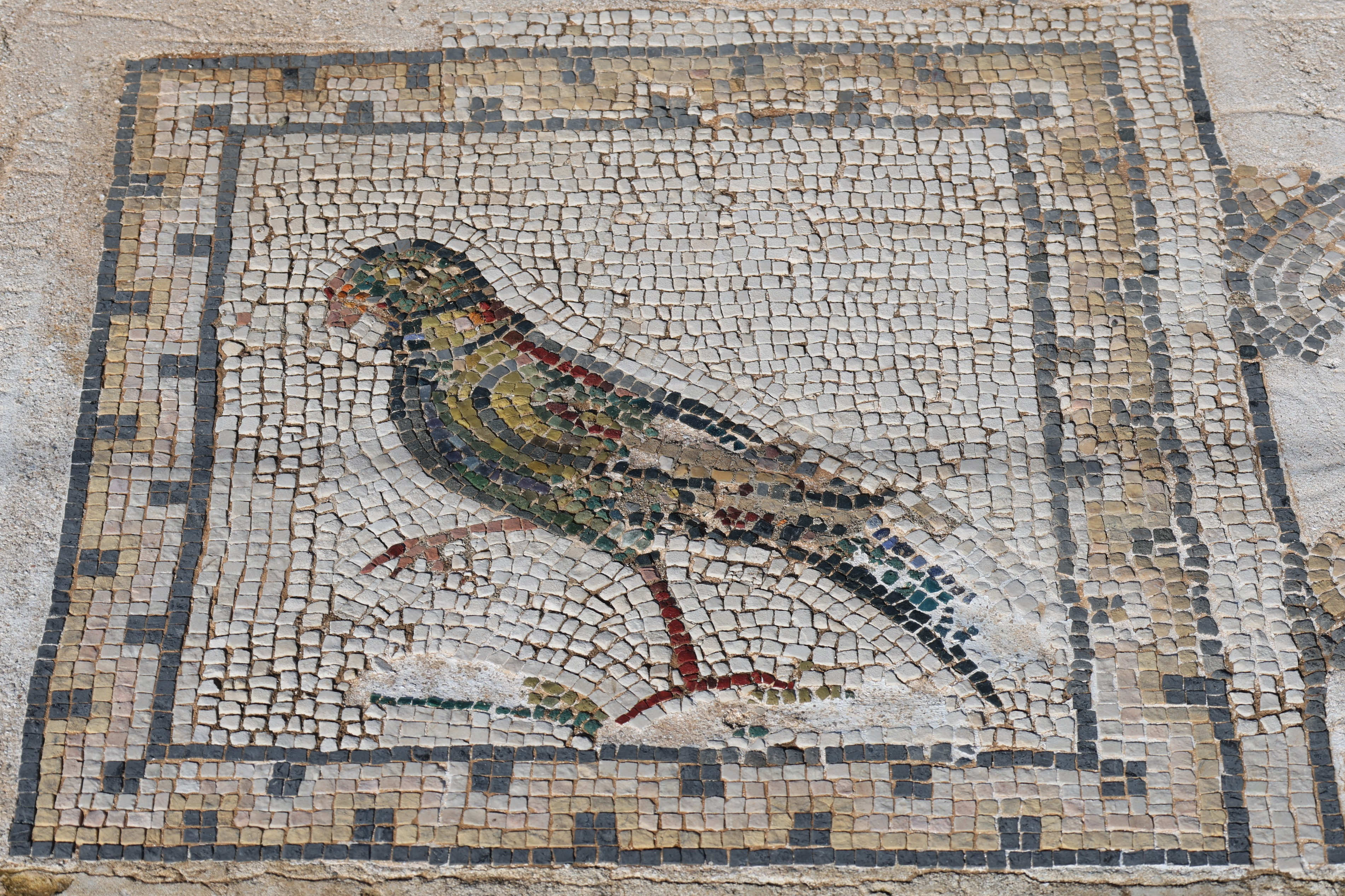 Italica